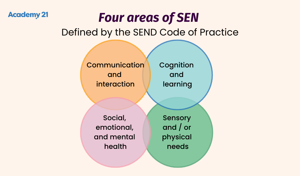 SEN students - four areas of SEN